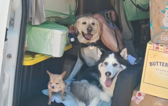 USDA revises border rules for dog owners traveling to Mexico