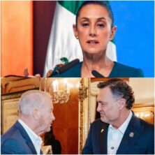 Mexico Daily Post
