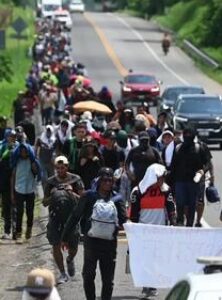 Mexico Daily Post