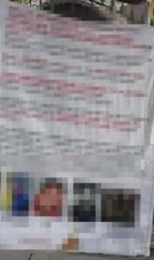 Mexico Daily Post