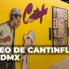 Mexico Daily Post