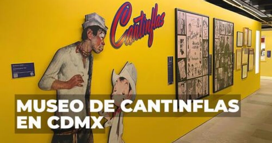 Mexico Daily Post